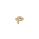 Initial P Ring