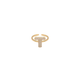 Initial T Ring