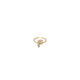 Initial F Ring