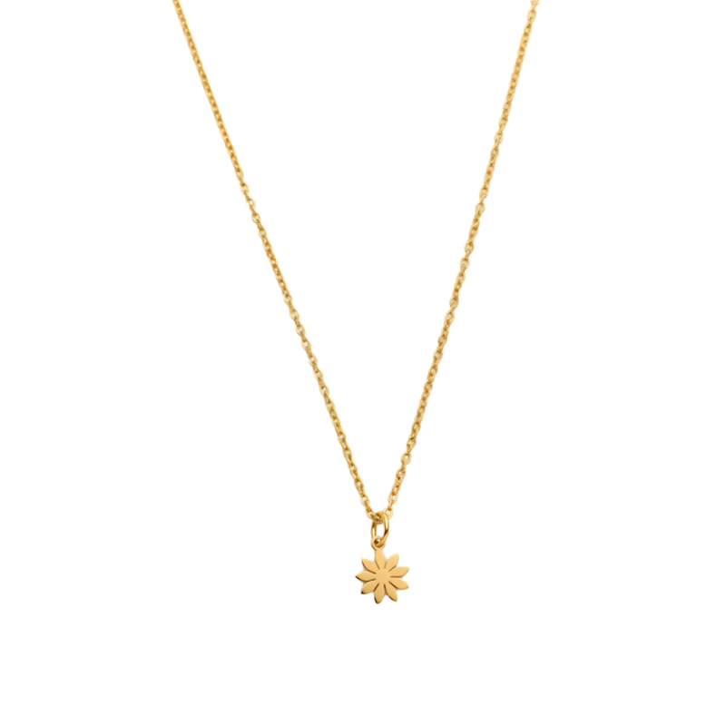 Daisy minimal Charm Necklace