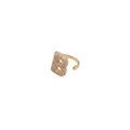 Initial B Ring