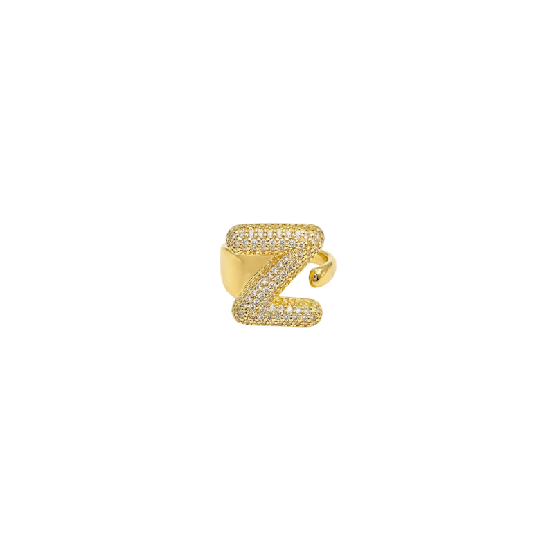 Initial Z Ring