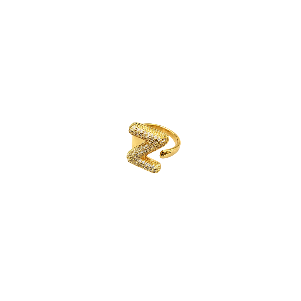 Initial Z Ring