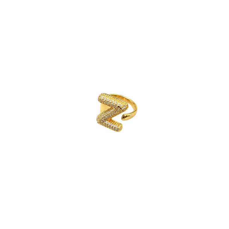 Initial Z Ring