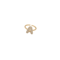 Initial A Ring