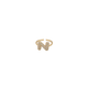 Initial Z Ring
