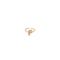 Initial F Ring