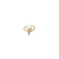 Initial F Ring