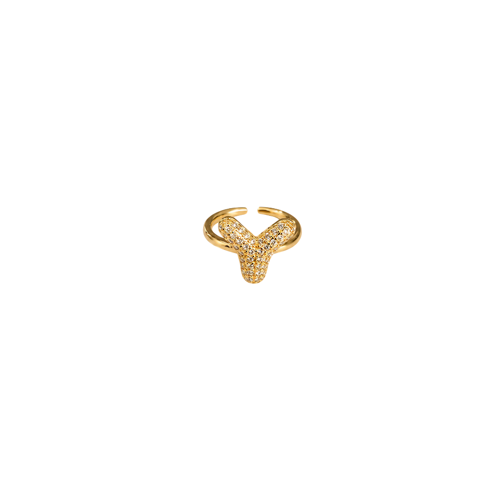 Initial Y Ring