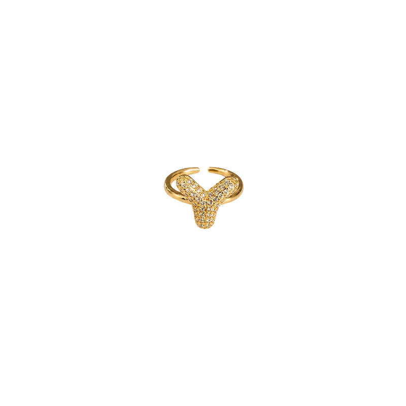 Initial Y Ring