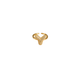 Initial Y Ring